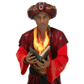 Magiër Aladdin Goochelaar